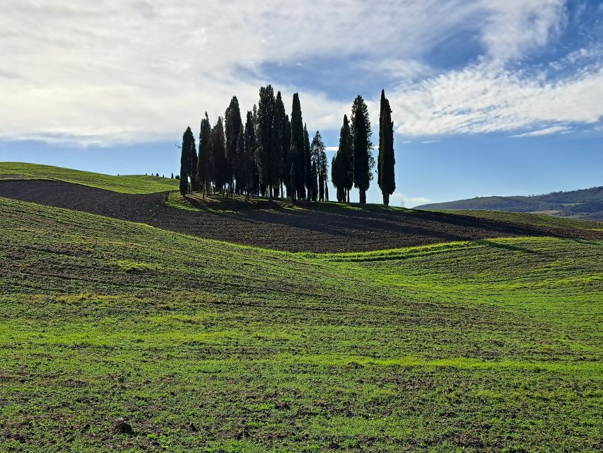 From Siena: Pienza and Montepulciano Small-Group Tour - The guide can make or break the day