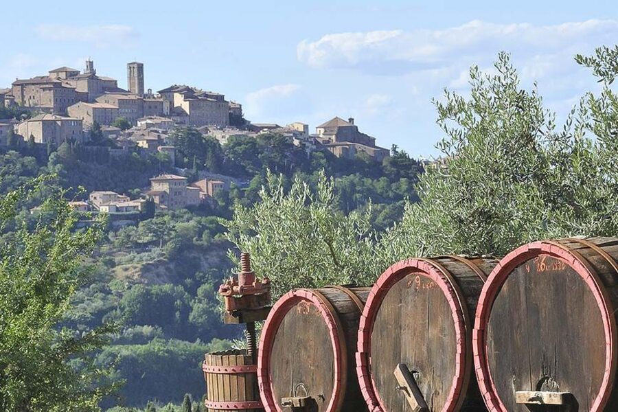 From Siena: Tuscany Hills Wine Tour - Montepulciano and Nobile di Montepulciano
