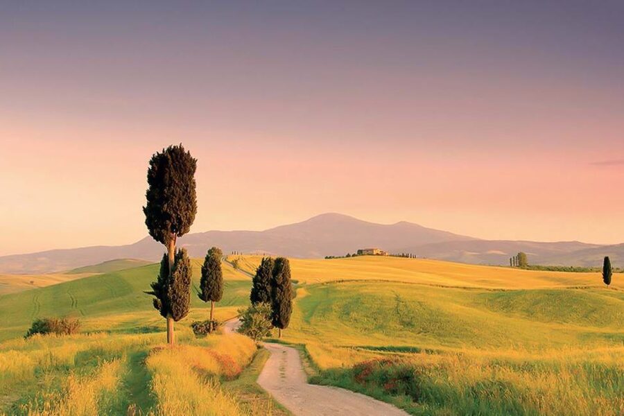 From Siena: Tuscany Hills Wine Tour - The guides make a real difference