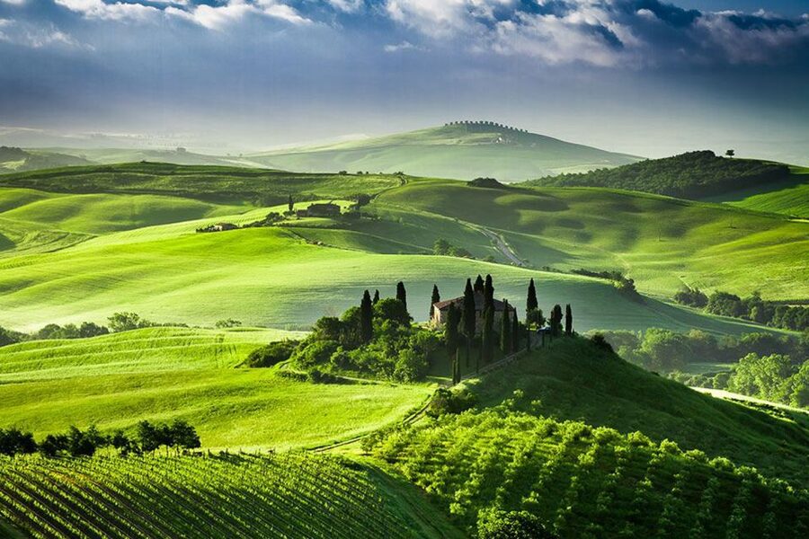 From Siena: Tuscany Hills Wine Tour - How much walking and waiting should you expect?