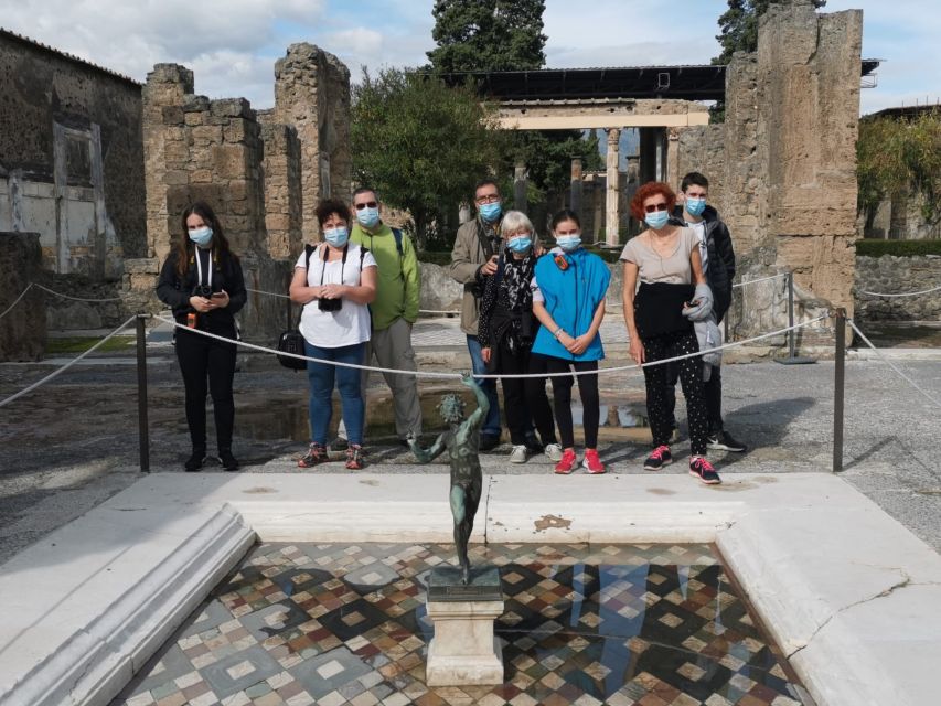 From Sorrento: Day Tour to Pompeii Ruins and Mount Vesuvius - Pompeii with a guide who brings the streets to life