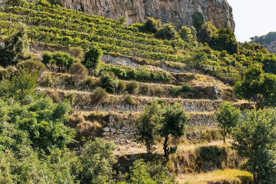 From Sorrento: Path of the Gods Guided Hike with Transfers - Returning to Sorrento, with one important route choice