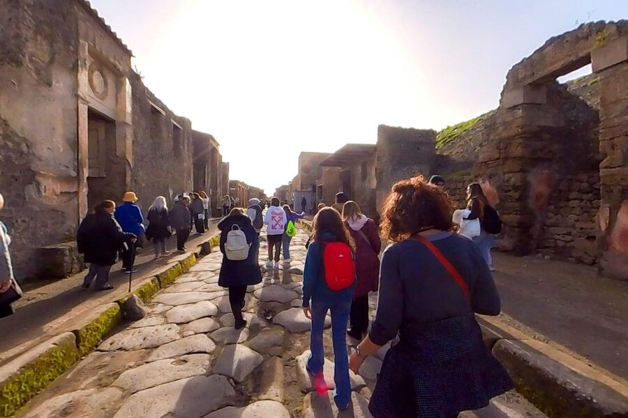 From Sorrento: Pompeii and Vesuvius Guided Tour with Lunch - Small details that improve the day