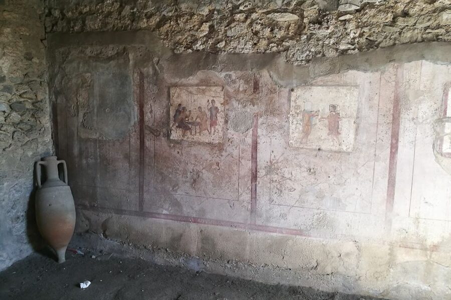 From Sorrento: Pompeii and Vesuvius Tour - Who should book this Sorrento day trip?