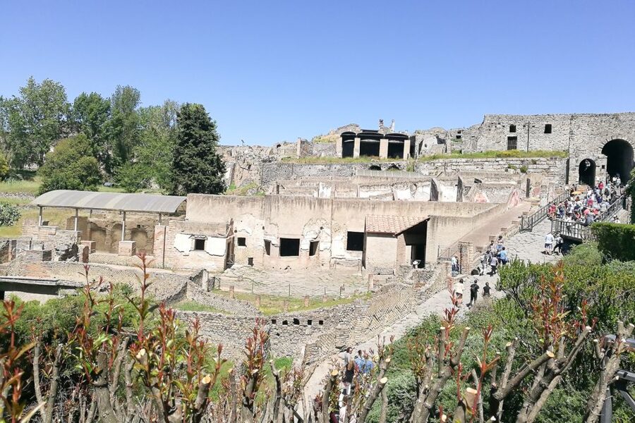 From Sorrento: Pompeii and Vesuvius Tour - Climbing Mount Vesuvius from 1,000 meters