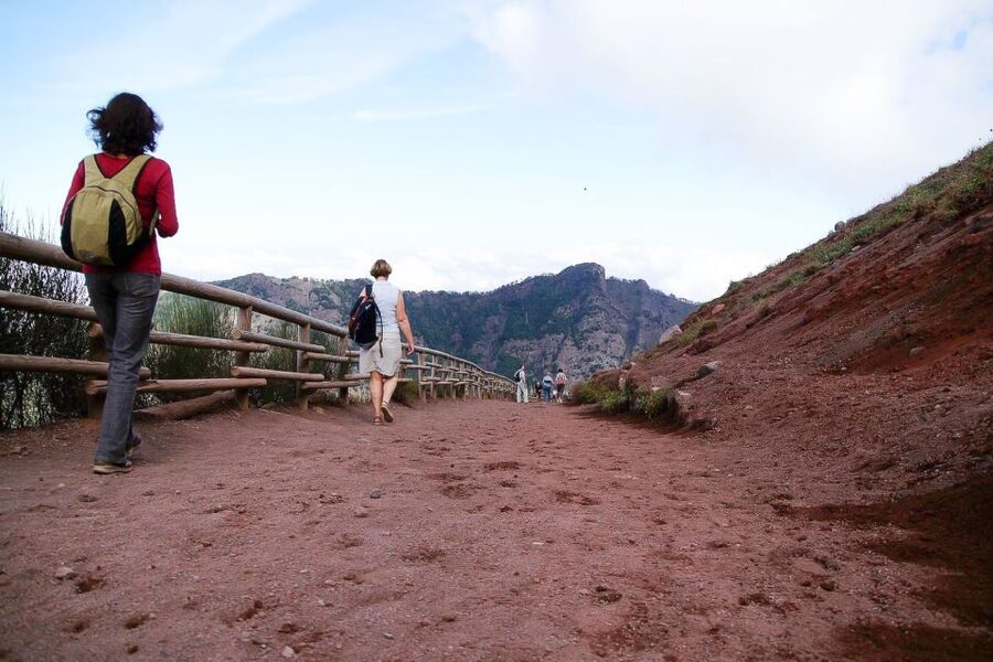 From Sorrento: Pompeii and Vesuvius Tour - Is the $135.94 price good value?