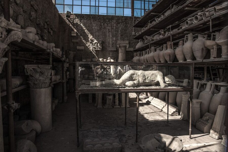 From Sorrento: Pompeii Half-Day Skip-the-Line Tour - Is $80.55 a fair price?