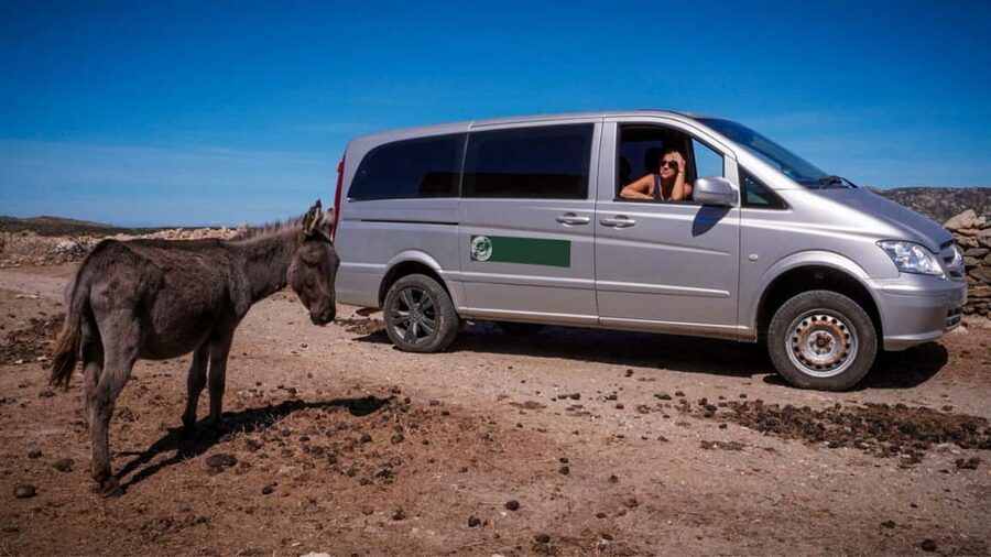 From Stintino: Asinara minivan tour - Cala Reale and the C.R.A.M.A. turtle center