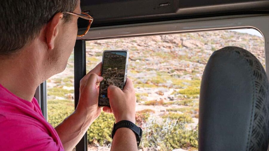 From Stintino: Asinara minivan tour - The return ride and ferry back to Stintino