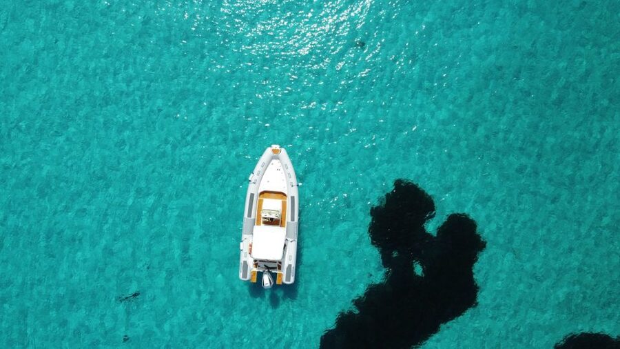 From Stintino: Half-day dinghy tour in Asinara Gulf - Key points at a glance