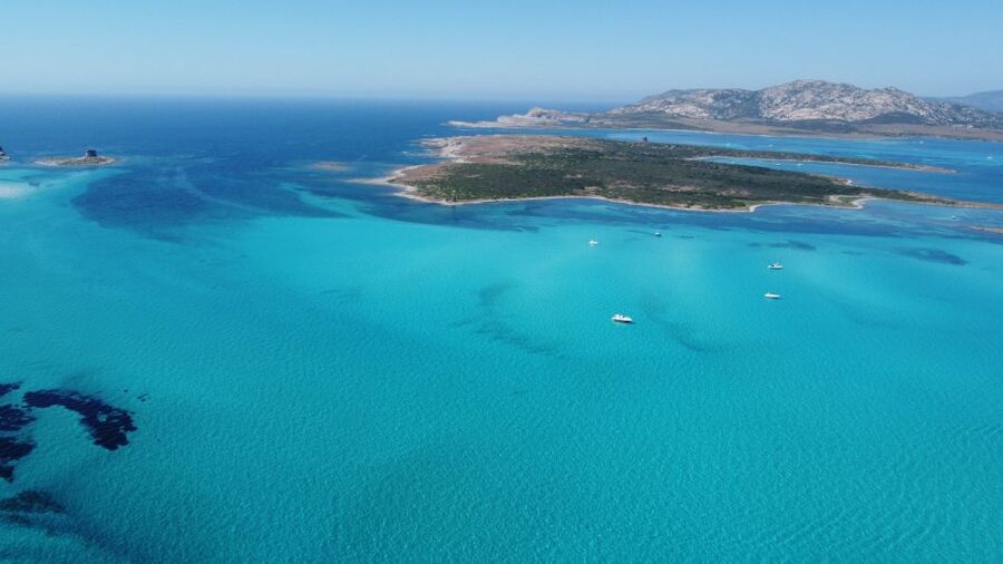From Stintino: Half-day dinghy tour in Asinara Gulf - The $56 price and what you receive