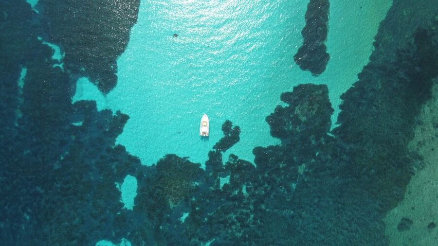 From Stintino: Half-day dinghy tour in Asinara Gulf - Why this three-hour cruise works so well