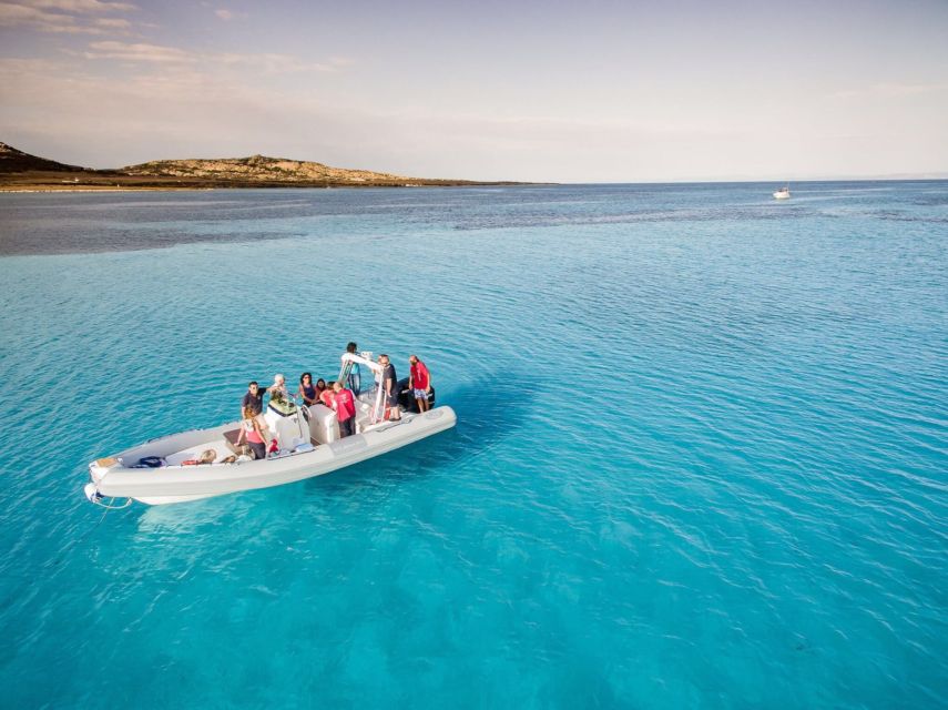 From Stintino: Half-day dinghy tour in Asinara Gulf - Isola Piana and the first swim