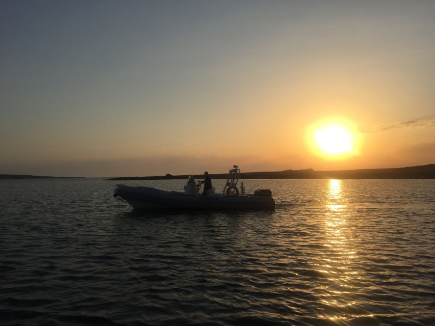 From Stintino: Half-day dinghy tour in Asinara Gulf - Mare di Fuori, Capo Falcone, and open coastal views