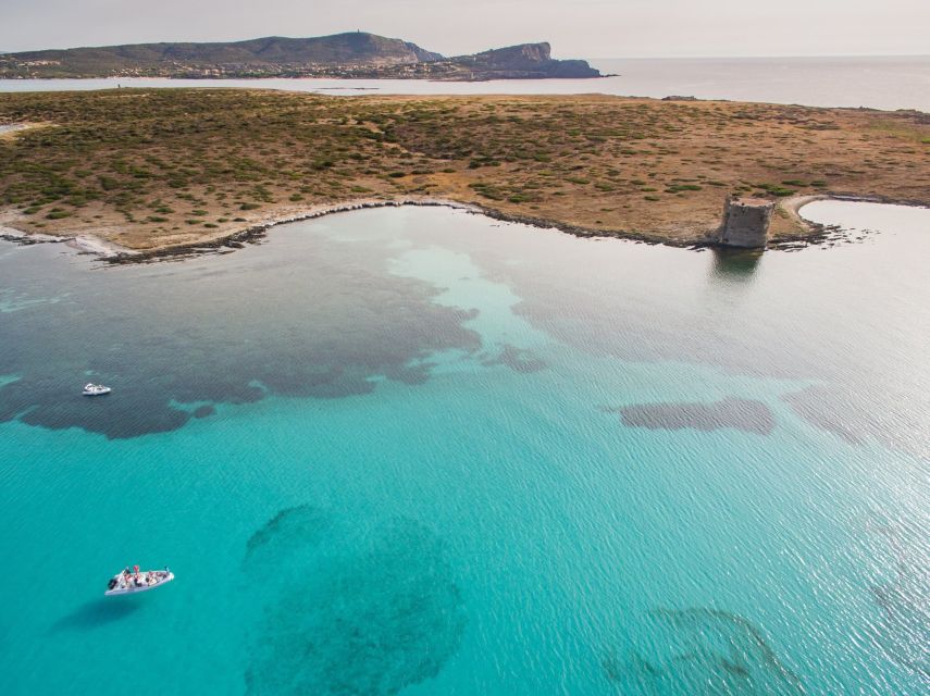 From Stintino: Half-day dinghy tour in Asinara Gulf - The natural pools of Fornelli
