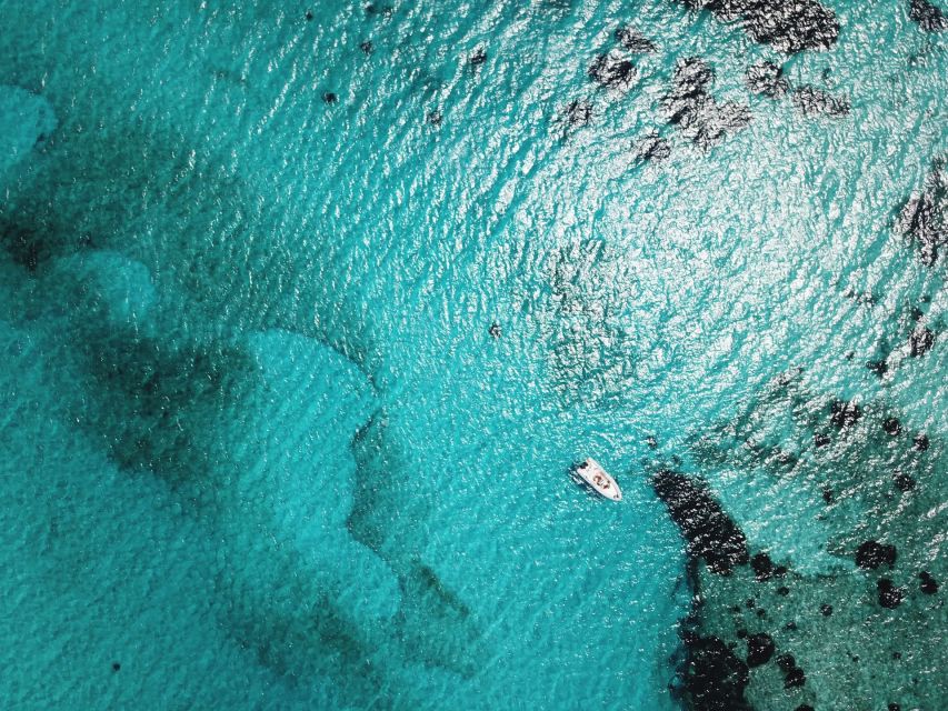 From Stintino: Half-day dinghy tour in Asinara Gulf - Porri Island and the route’s changing plan