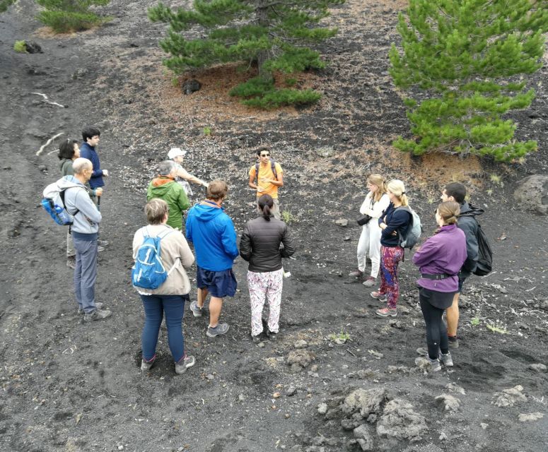 From Taormina: Full-Day Etna, Wine & Alcantara Canyons Tour - Walking Etna’s extinct craters at 2,000 meters