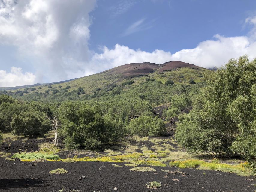 From Taormina: Full-Day Etna, Wine & Alcantara Canyons Tour - What to bring and who should book