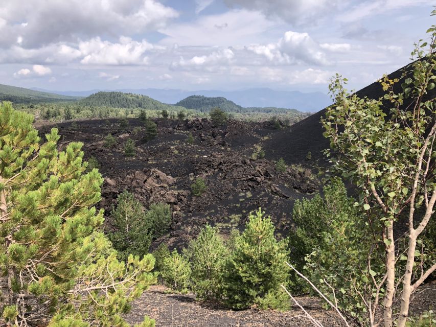 From Taormina: Full-Day Etna, Wine & Alcantara Canyons Tour - Should you book this Etna and Alcantara tour?