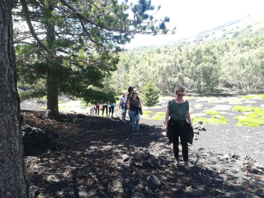 From Taormina: Half-Day Mount Etna Morning Trek - English, Italian, and small-group communication