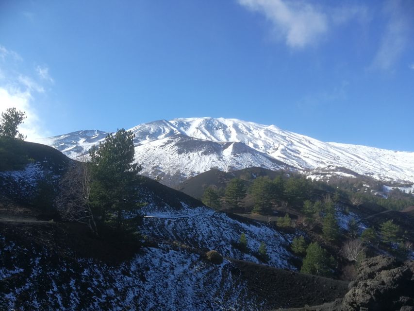 From Taormina: Half-Day Mount Etna Morning Trek - Who should book this Etna outing