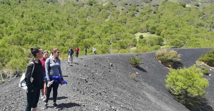 From Taormina: Half-Day Mount Etna Morning Trek - Pickup from Taormina and the drive uphill