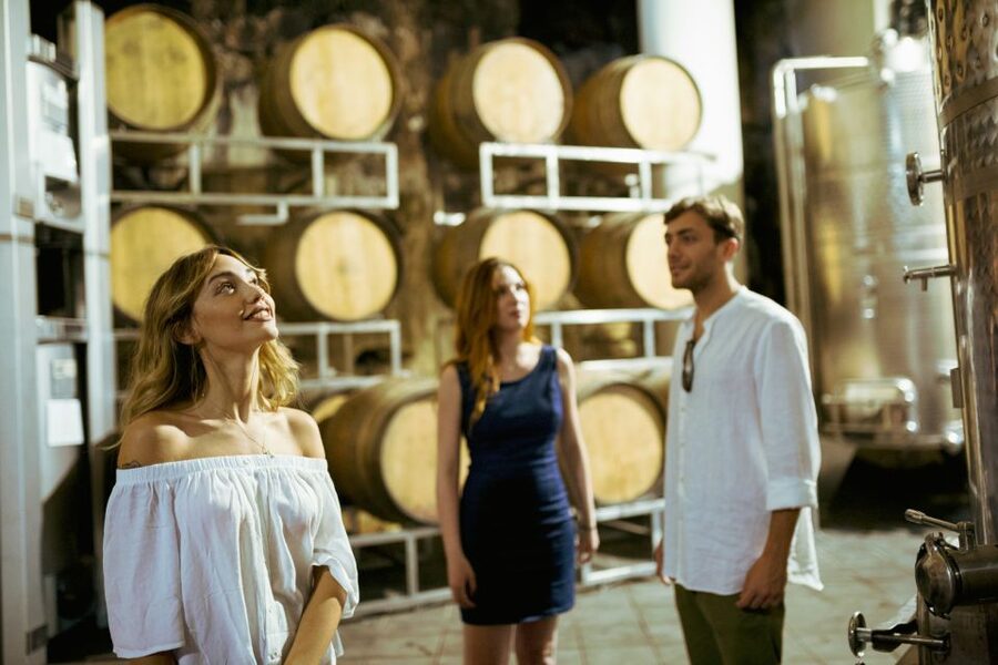 From Taormina: Mount Etna Food and Wine Tasting Tour - Dessert, Limoncello, and the Ride Home