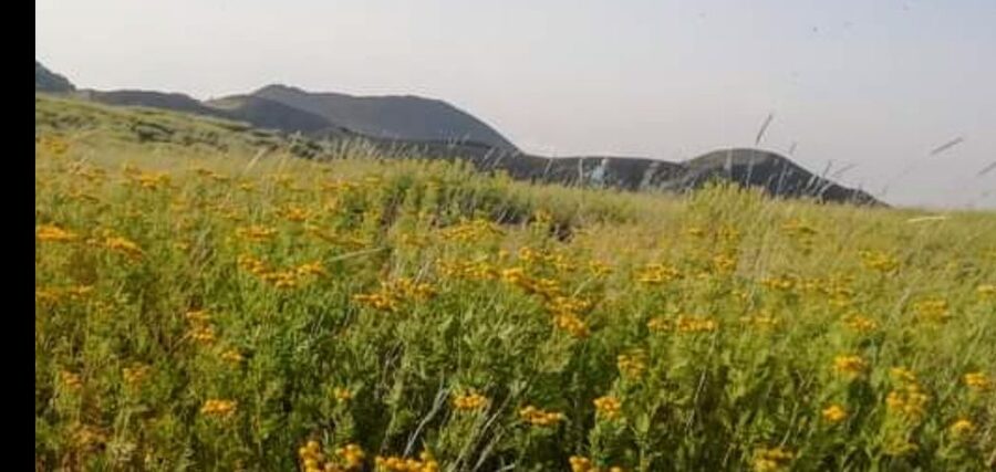 From Taormina, Naxos, & Letojanni: Mount Etna Half-Day Trip - From Taormina to the slopes of Mount Etna
