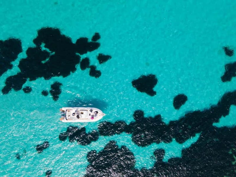 From Trapani: Egadi Islands Favignana & Levanzo Cruise - Why this small boat makes a difference from Trapani