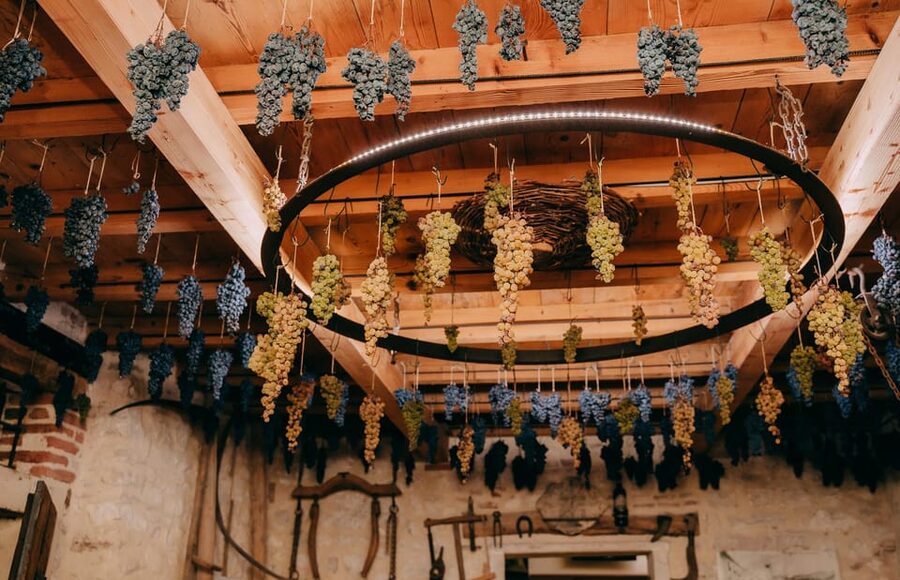 From Verona: Valpolicella and Amarone Wine Tasting Tour - Booking advice before you commit