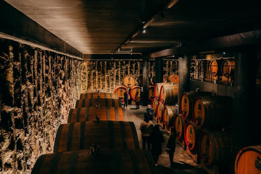 From Verona: Valpolicella and Amarone Wine Tasting Tour - First cellar: a close look at production