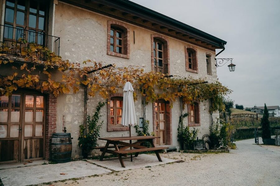 From Verona: Valpolicella and Amarone Wine Tasting Tour - Second cellar: the family-winery contrast