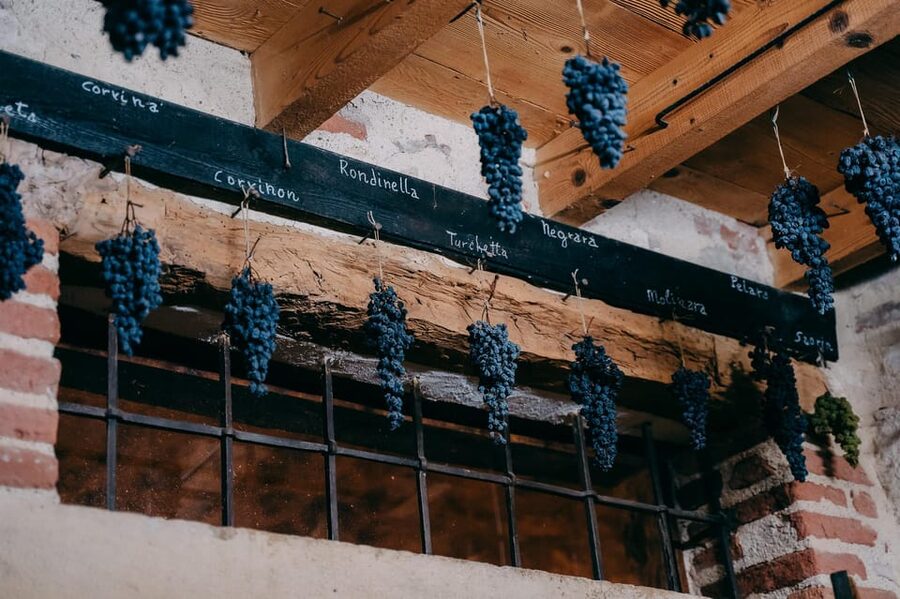 From Verona: Valpolicella and Amarone Wine Tasting Tour - Is the $112 price good value?