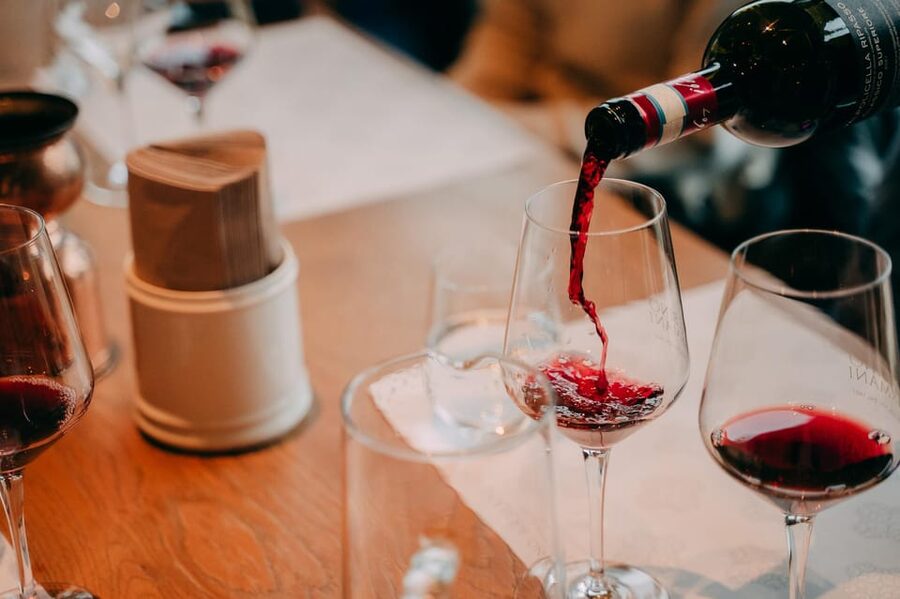 From Verona: Valpolicella and Amarone Wine Tasting Tour - Who will enjoy this wine tour most?