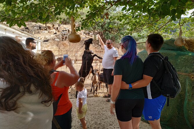 Full-Day Jeep Safari Tour with Cooking Lesson - Mountain tracks through Ano Kera