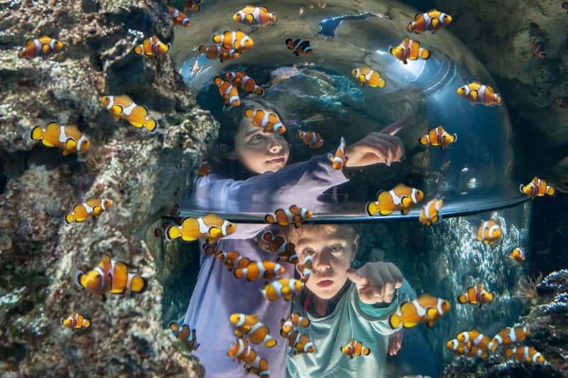 Gardaland SEA LIFE Aquarium: Open Date Entry Ticket - Starting at Gardaland SEA LIFE Aquarium