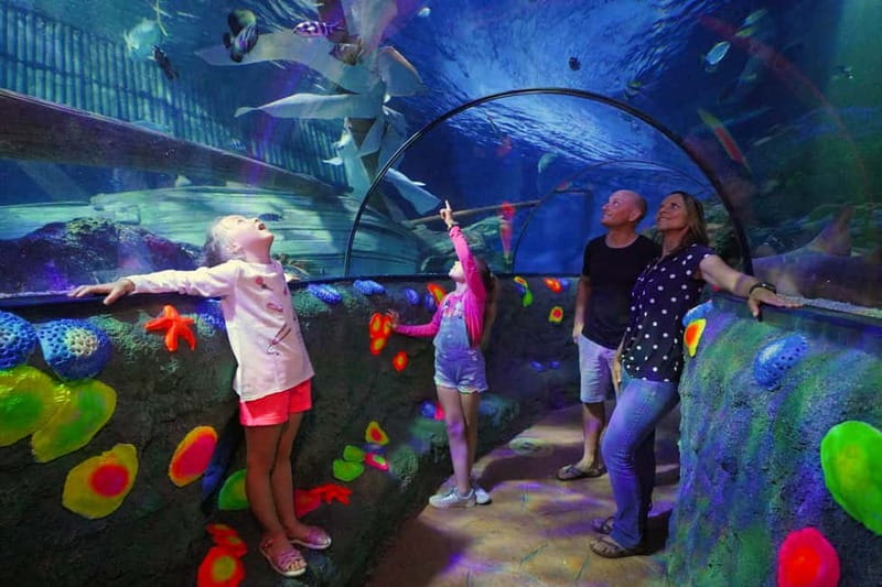Gardaland SEA LIFE Aquarium: Open Date Entry Ticket - The Oceanic Tank and transparent underwater tunnel