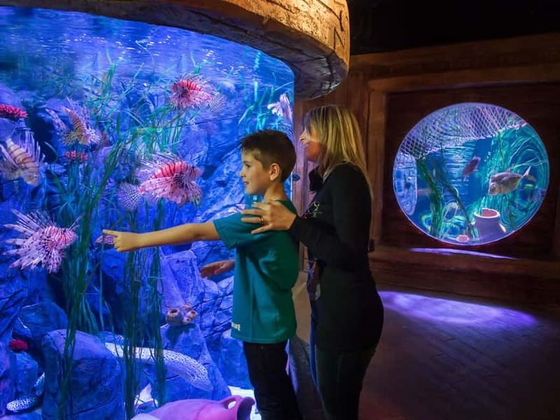 Gardaland SEA LIFE Aquarium: Open Date Entry Ticket - Getting there from Peschiera del Garda