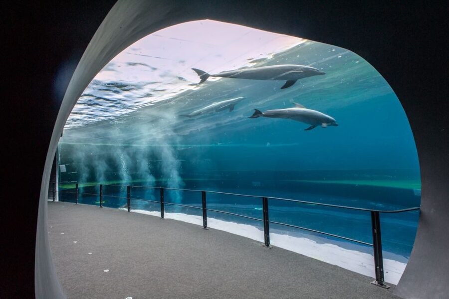 Genoa: Aquarium & Christopher Columbus' House Entry Tickets - Why the aquarium works well for families