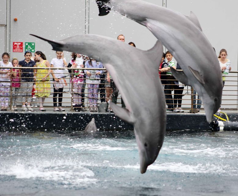 Genoa: Aquarium, Galata Museum and Submarine Entry Tickets - Who should book this Genoa ticket?