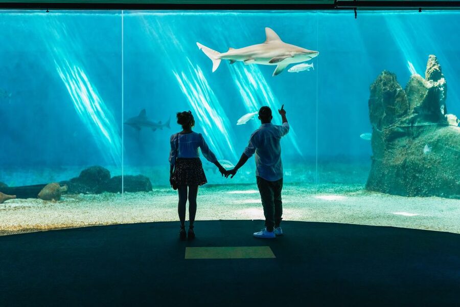 Genoa: Aquarium of Genoa Entry Ticket - Who will get the most from this ticket?