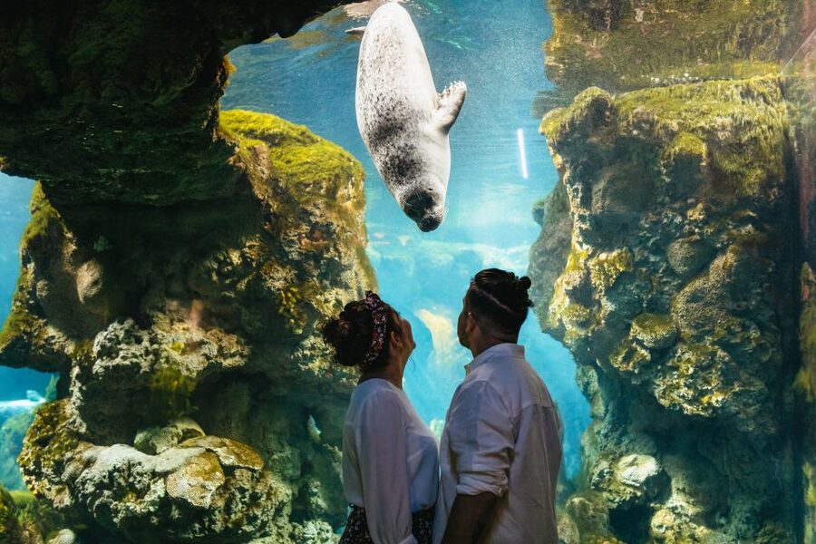 Genoa: Aquarium of Genoa Entry Ticket - Crowds, comfort, and family appeal