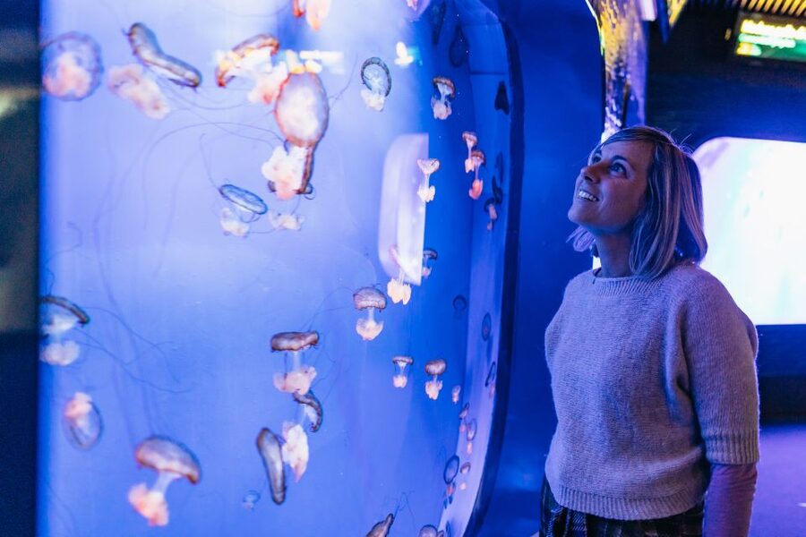Genoa: Aquarium of Genoa with Lunch - A family-friendly visit with a few limits