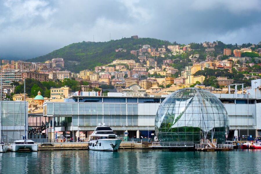 Genoa: Aquarium of Genoa with Lunch - Who will get the most from this experience
