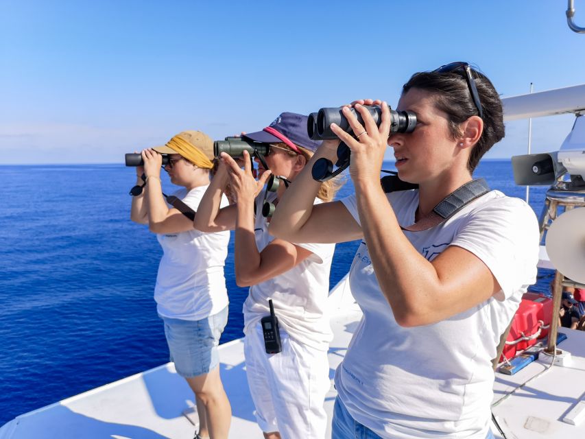 Genoa: Cetacean Watching Cruise with Marine Biologist Guide - Key points to know before you book