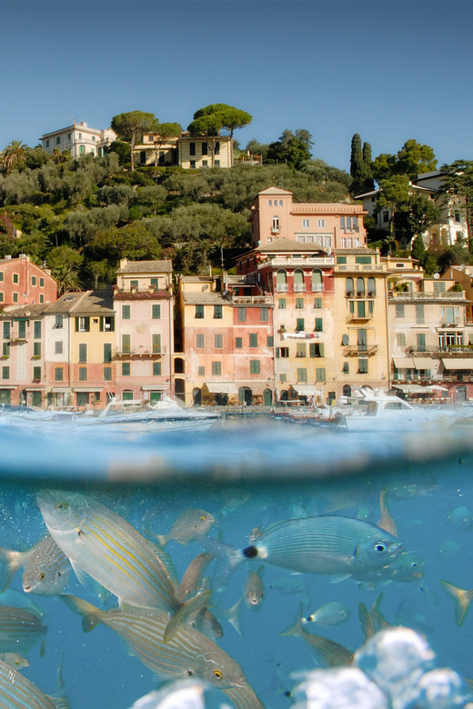 Genoa: Half-Day Tour to Portofino - Leaving Genoa from Porto Antico