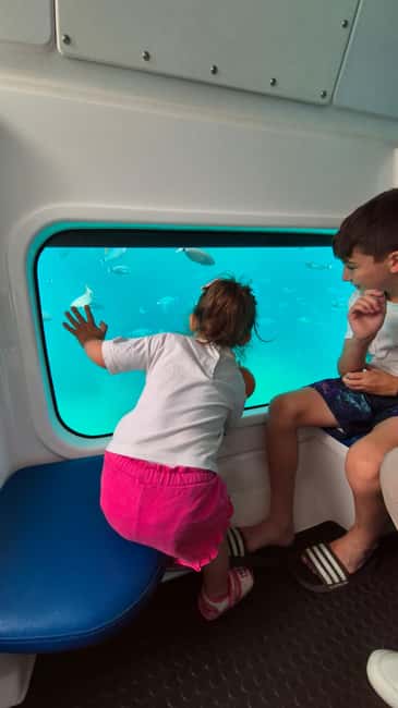 Giardini Naxos: Semi-Submarine Tour to Isola Bella - What the bright-red semi-submarine actually offers