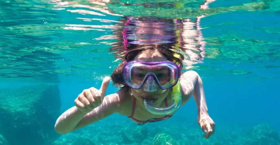Golfo Aranci: Dolphin Watching and Snorkeling Boat Tour - Why this Golfo Aranci boat trip is more than a quick dolphin sighting