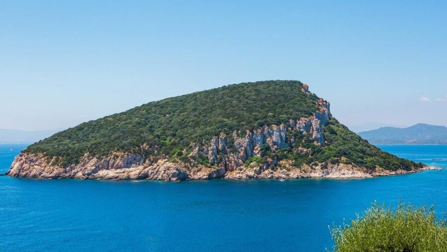 Golfo Aranci: Dolphin Watching and Snorkeling Boat Tour - Watching bottlenose dolphins without chasing them