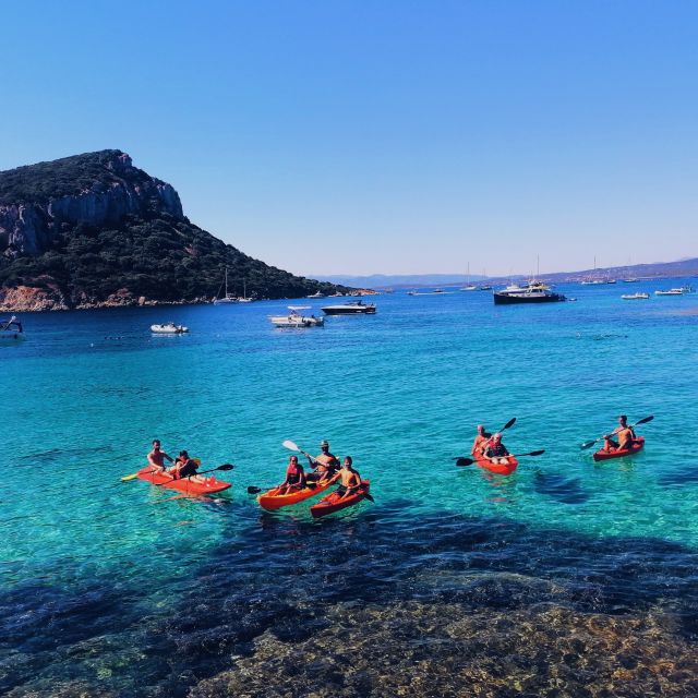 Golfo Aranci: Kayak Tour with Dolphins and Aperitif - Finding Spiaggia dei Baracconi without a fuss